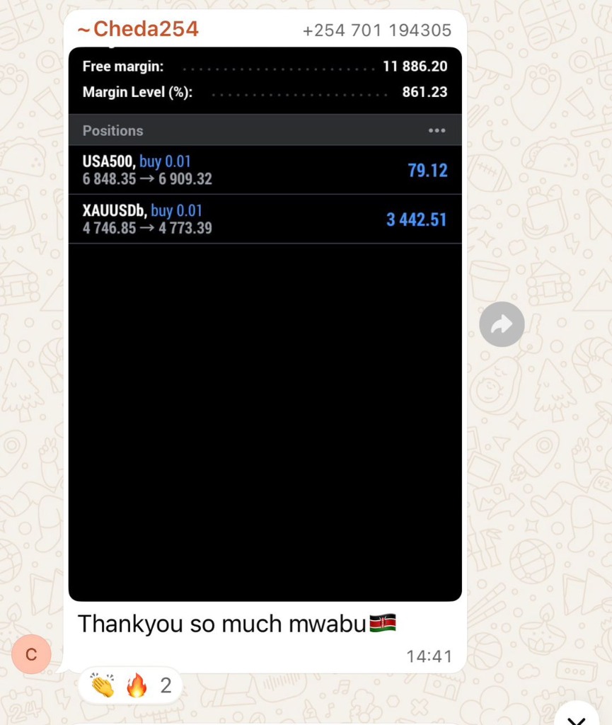 Cheda254 Trading Results