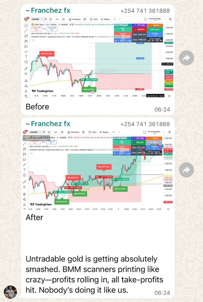 Franchez FX Before/After Results